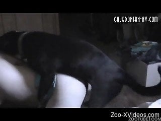 Serious home porn between a woman and her dog