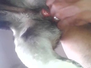 Nasty anal sex with a doggy and my lustful hubby zoofil