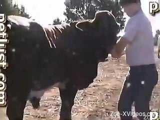Sweet cow and awesome zoophile in the filthiest outdoor bestia...
