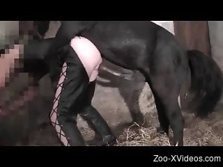 Sexual moments with the horse for a naked mature