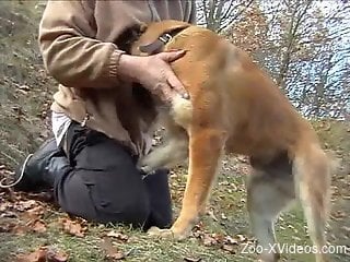 ionate dog lover enjoying outdoors gay fucking