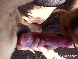 Playful middle-aged zoophile blows a sexy doggo