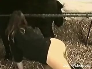 Blonde spreads her legs to get fucked by a black stallion