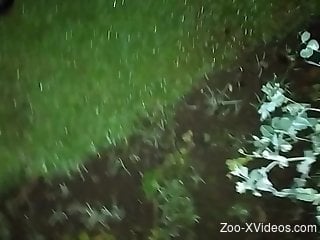 Dude lets a snail crawl inside his tasty foreskin