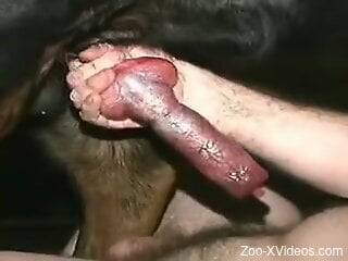 Naked gay man ass fucked in harsh scenes by a furry dog
