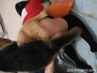 Fine ass woman gets deep drilled by furry dog in loud positions